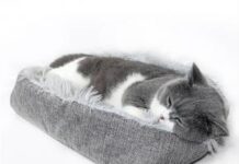 Dog Beds – Helping You Get a Good Night’s Sleep calming dog bed