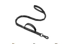 Last Guide for dog collar and lease with seat belt: Keep each dog safe, stylish and control